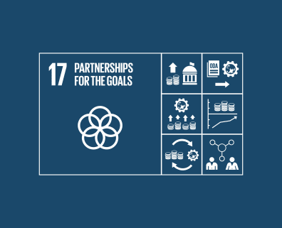 SDG 17 Goal